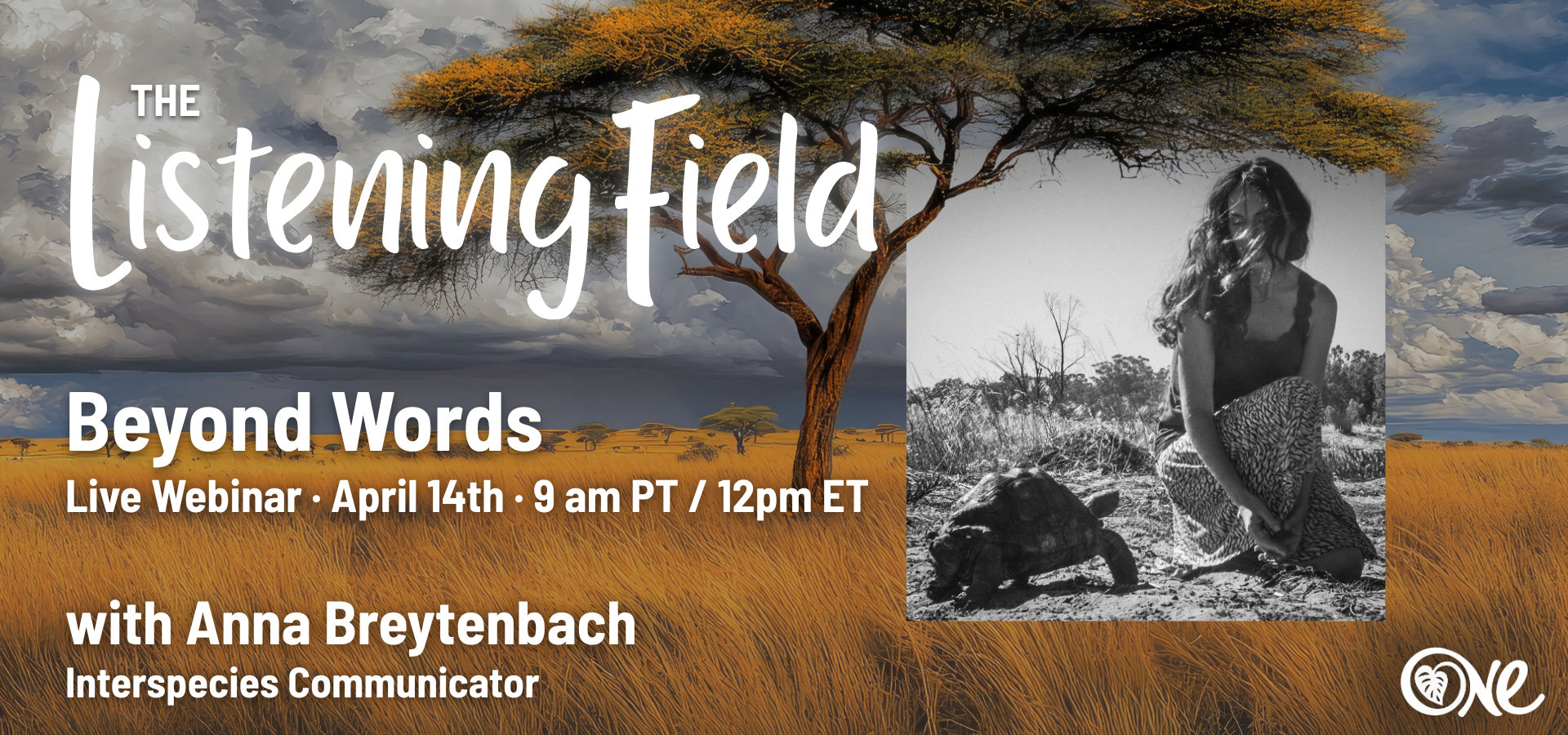 Beyond words with Anna Breytenbach