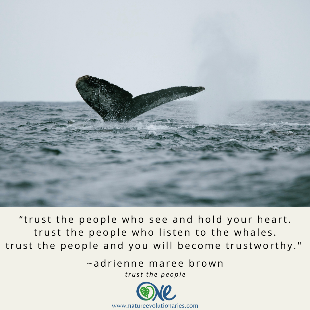 Trust and You Will Become Trustworthy