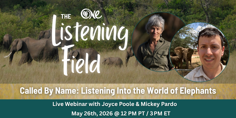 Called By Name: Listening Into the World of Elephants with Joyce Poole and Mickey Pardo