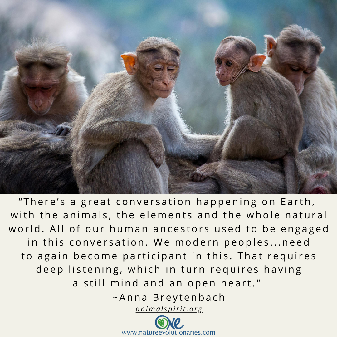 Still Mind, Open Heart