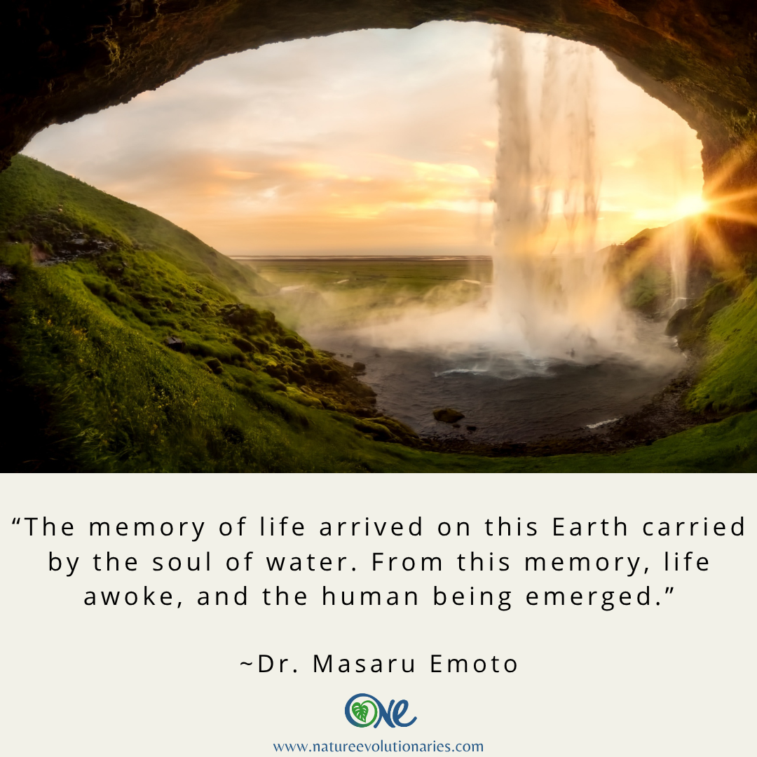 The Soul of Water