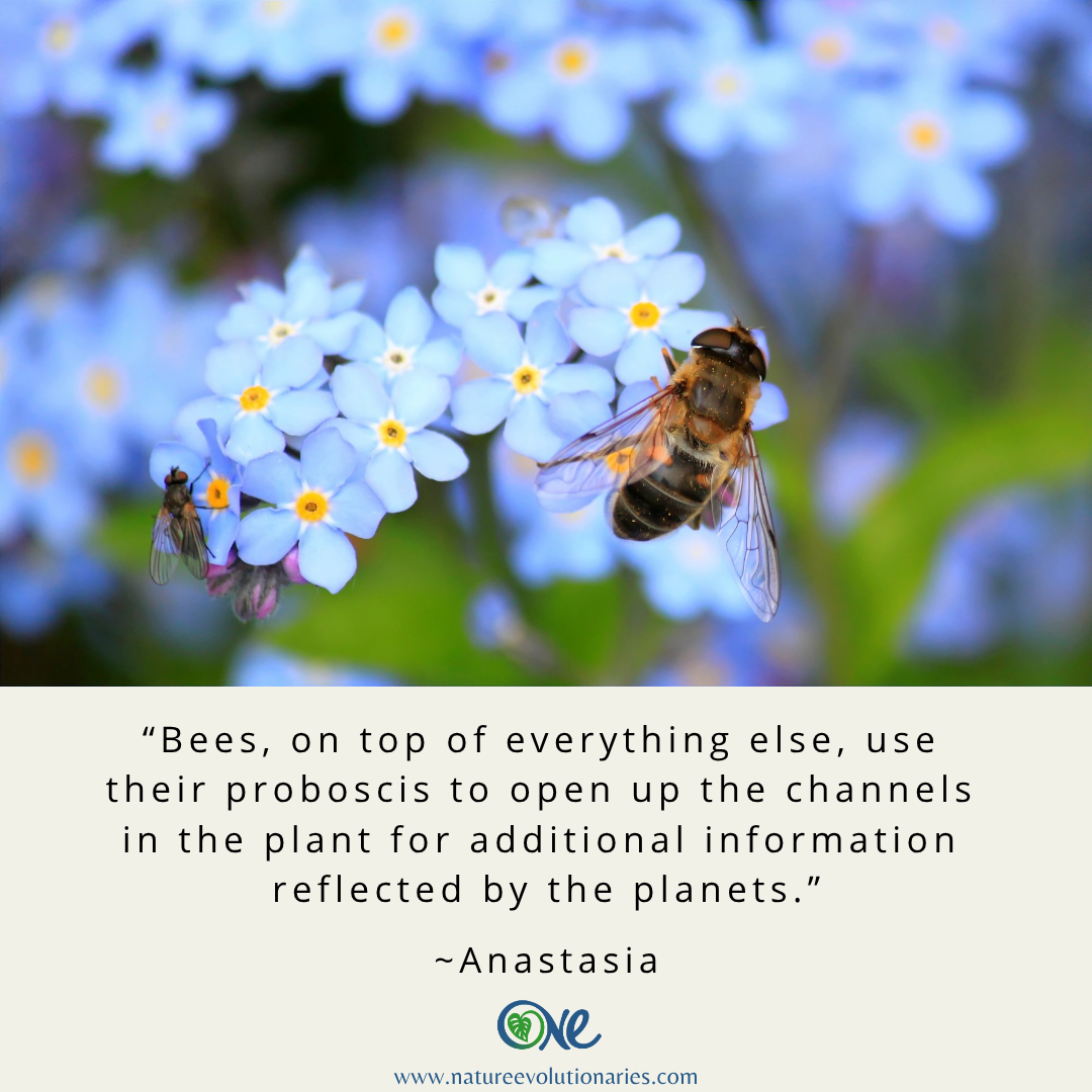 Bee Channels
