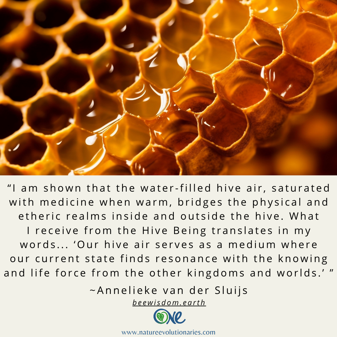 Hive Medicine