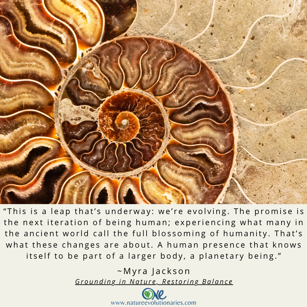 The Full Blossoming of Humanity