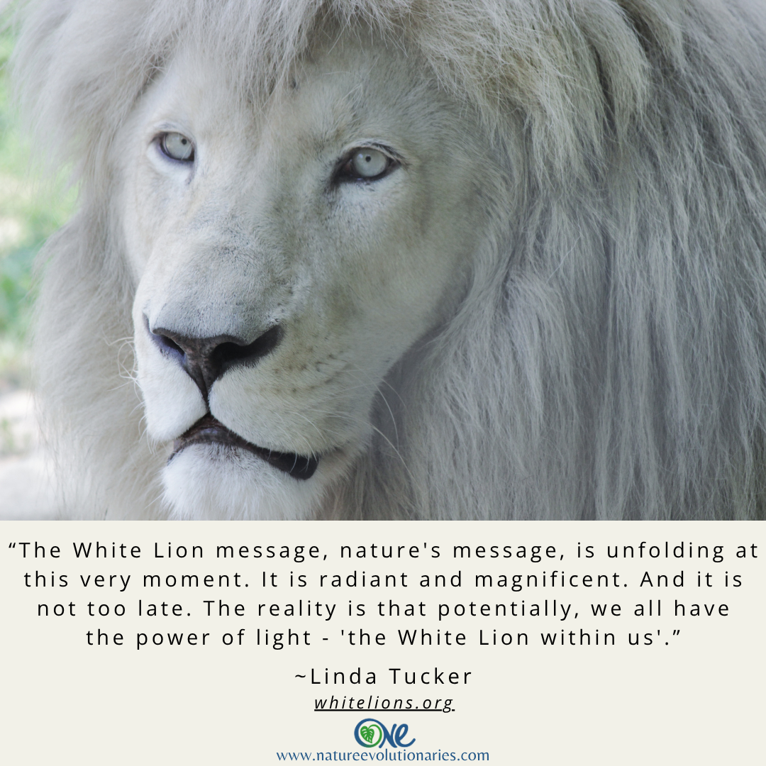 Radiant and Magnificent