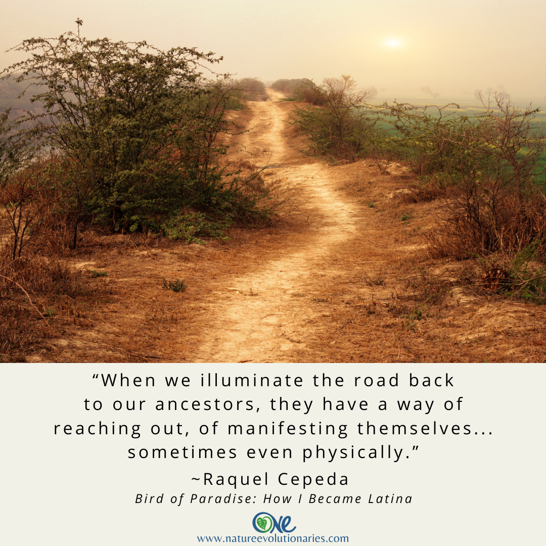 The Road Back