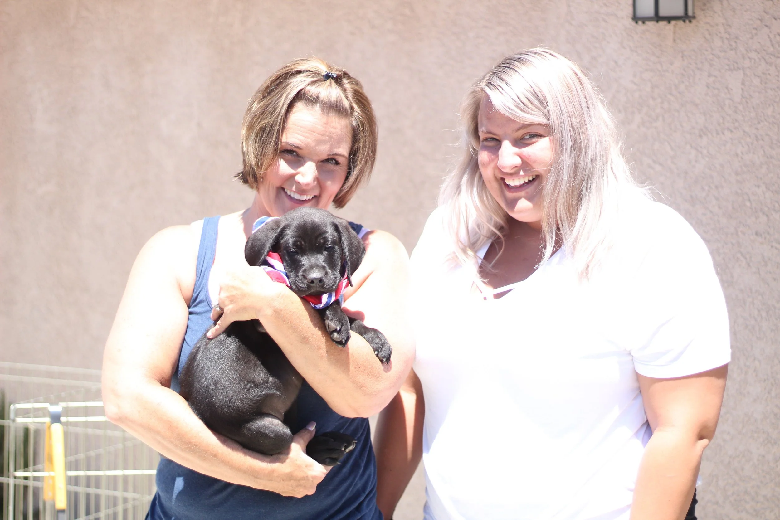 Puppy Liberty and Holly & Eileen