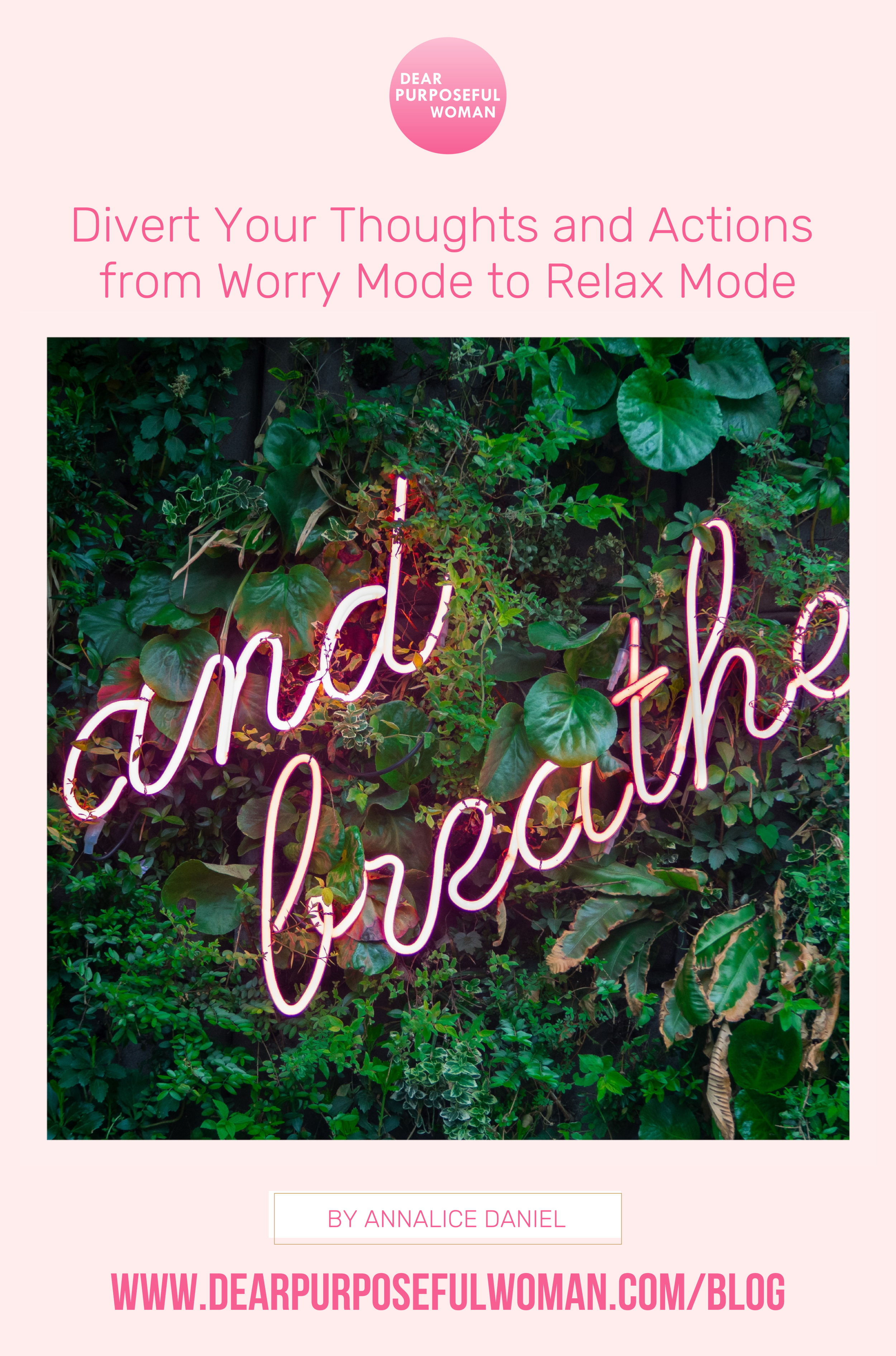 Guest Post Written by Annalice Daniel