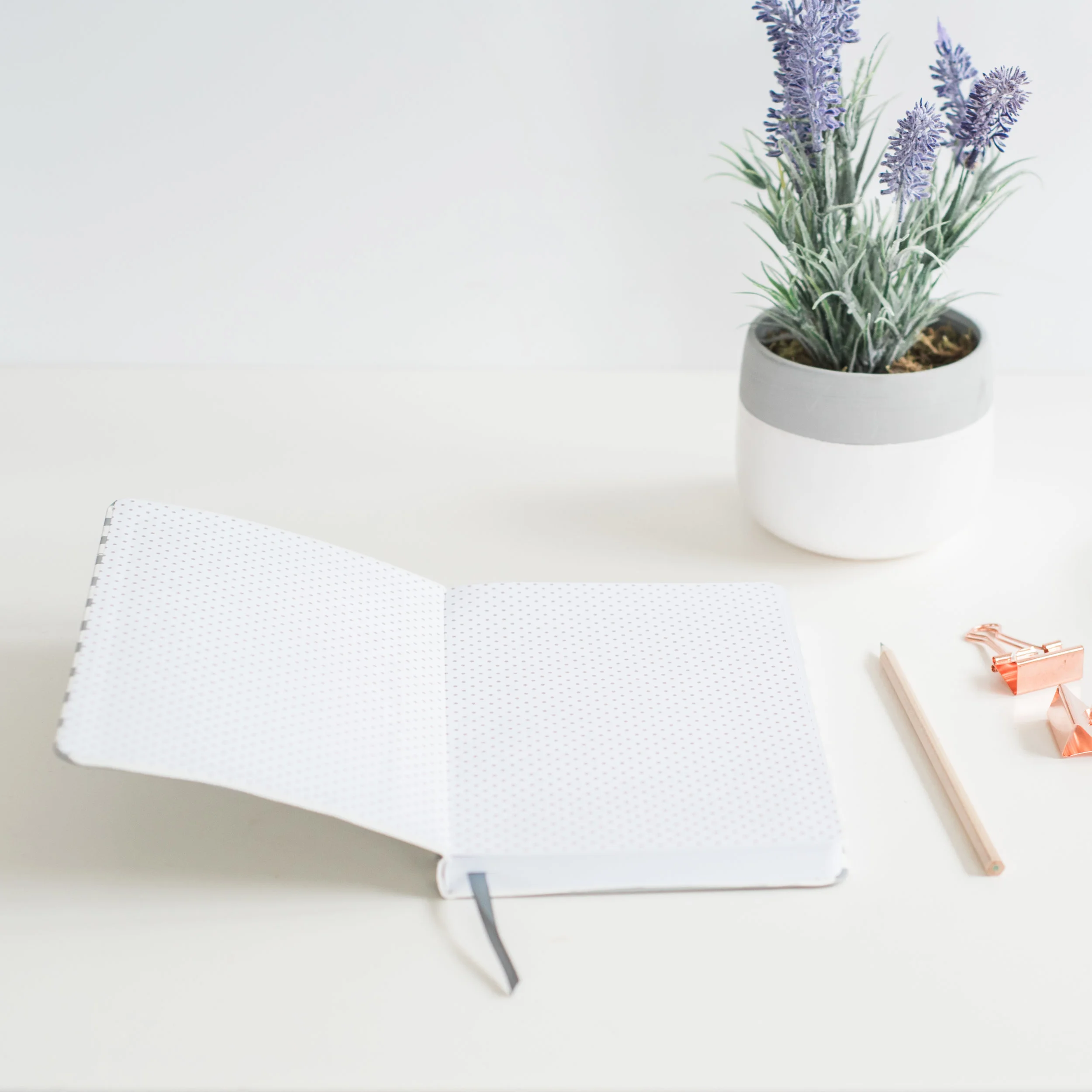 Guest Post Written by Annalice Daniel