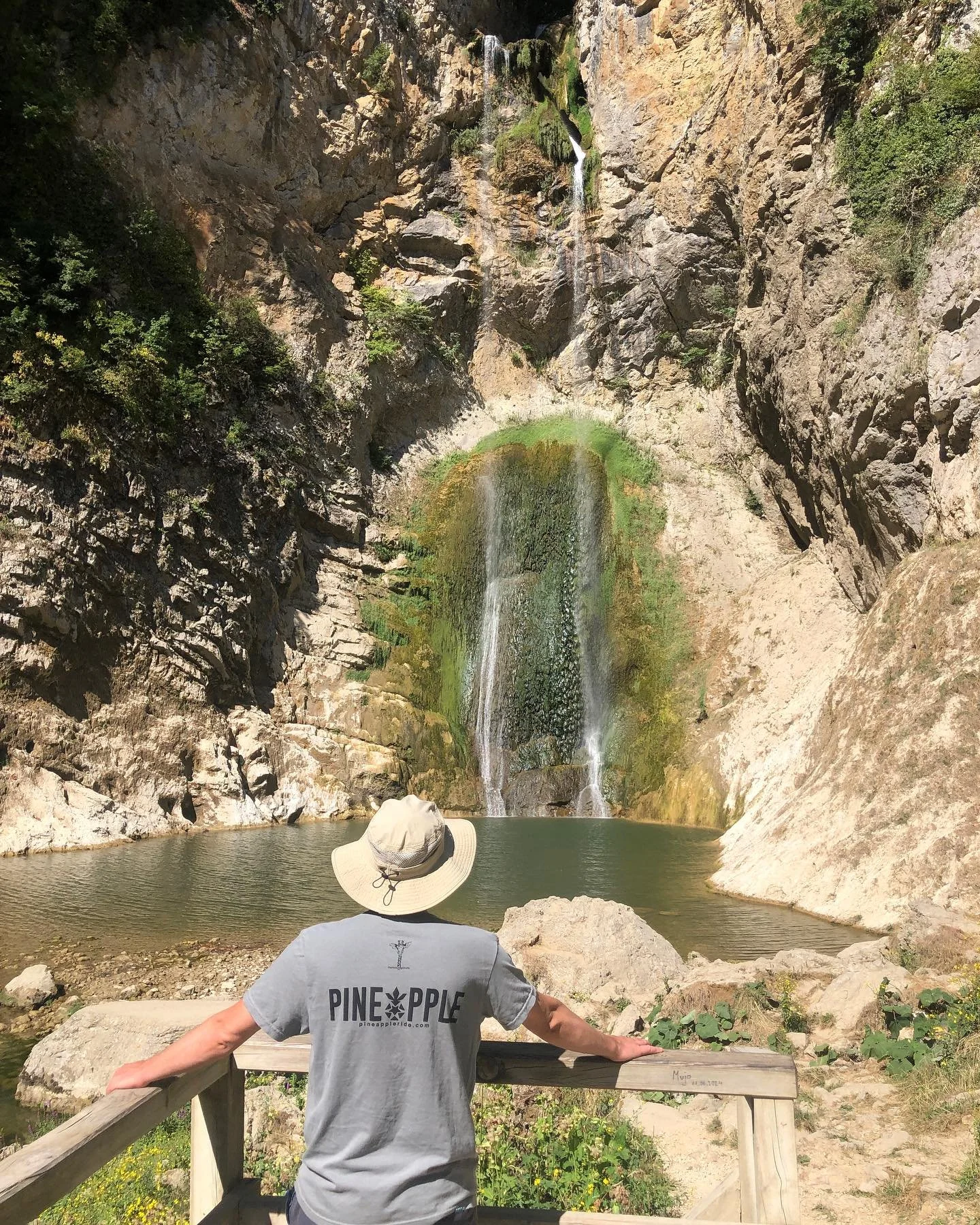 The world is big, time is short. Go explore and leave nothing but footsteps. 🍍🚲🍍🏕️🍍🛶🍍🏔️