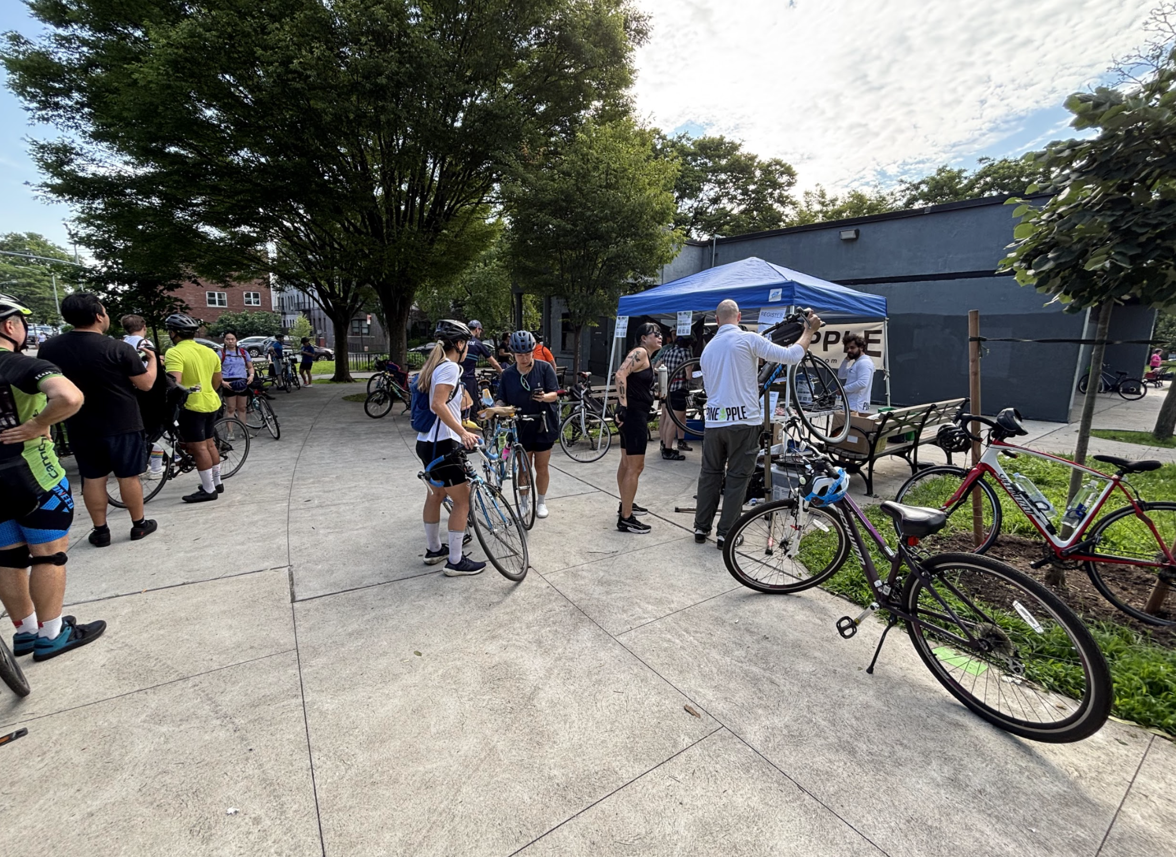 Bensonhurst Park - 7 am