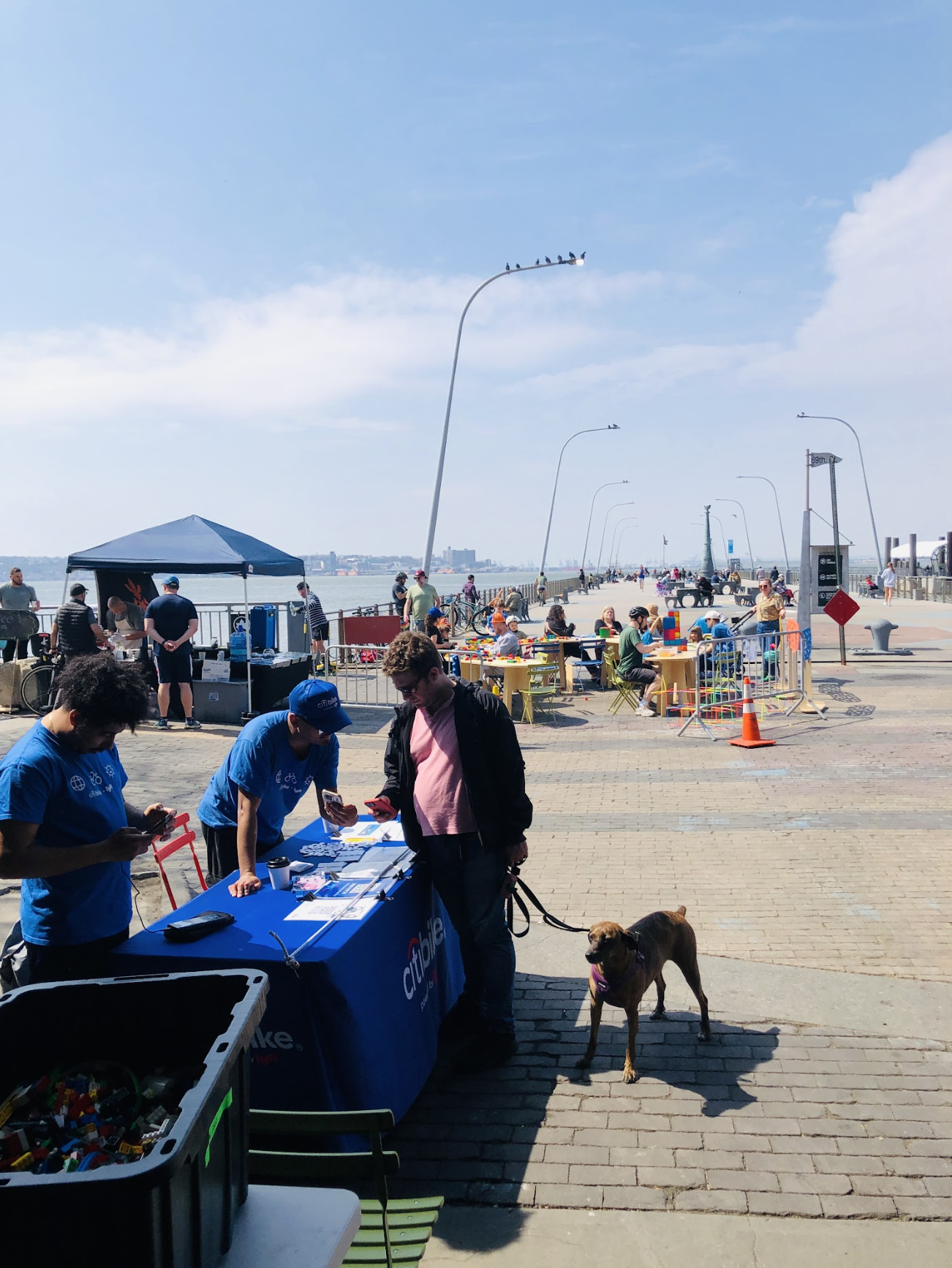 Screenshot 2026-04-08 at 10.38.24 AM.png