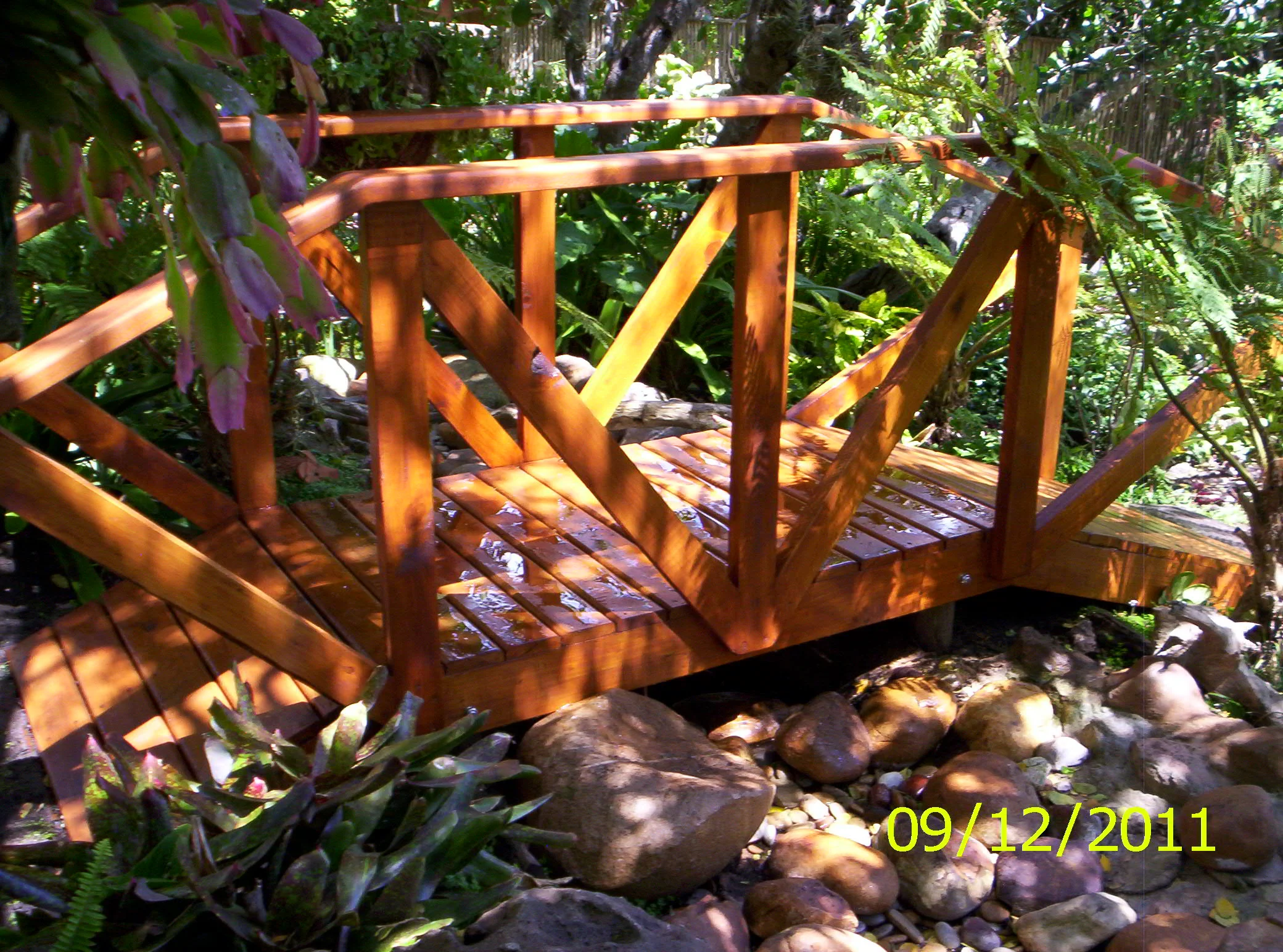 Edgar 25 Jun 12 002.JPG