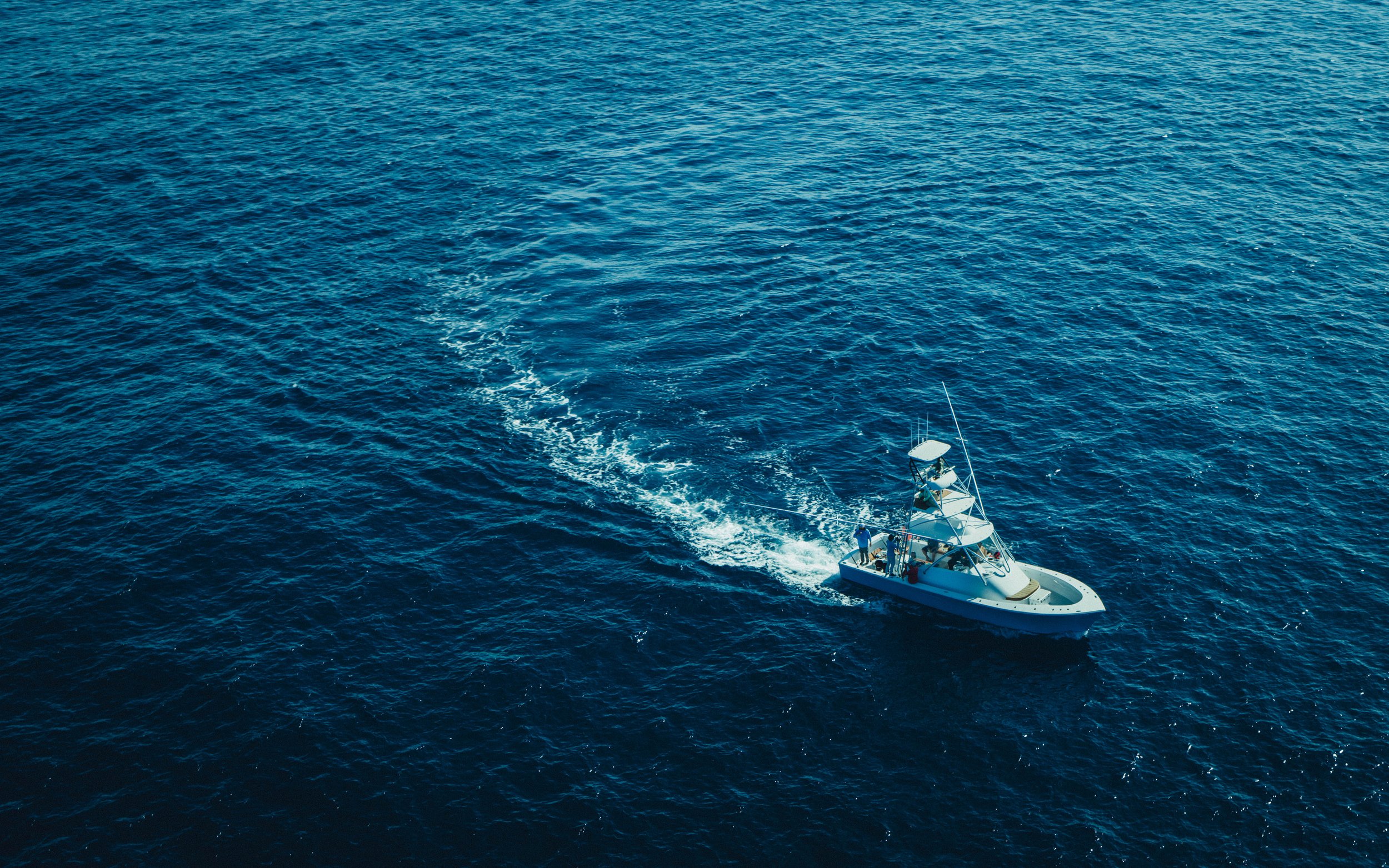 SP24_FISH_ZS_Offshore_20.jpg