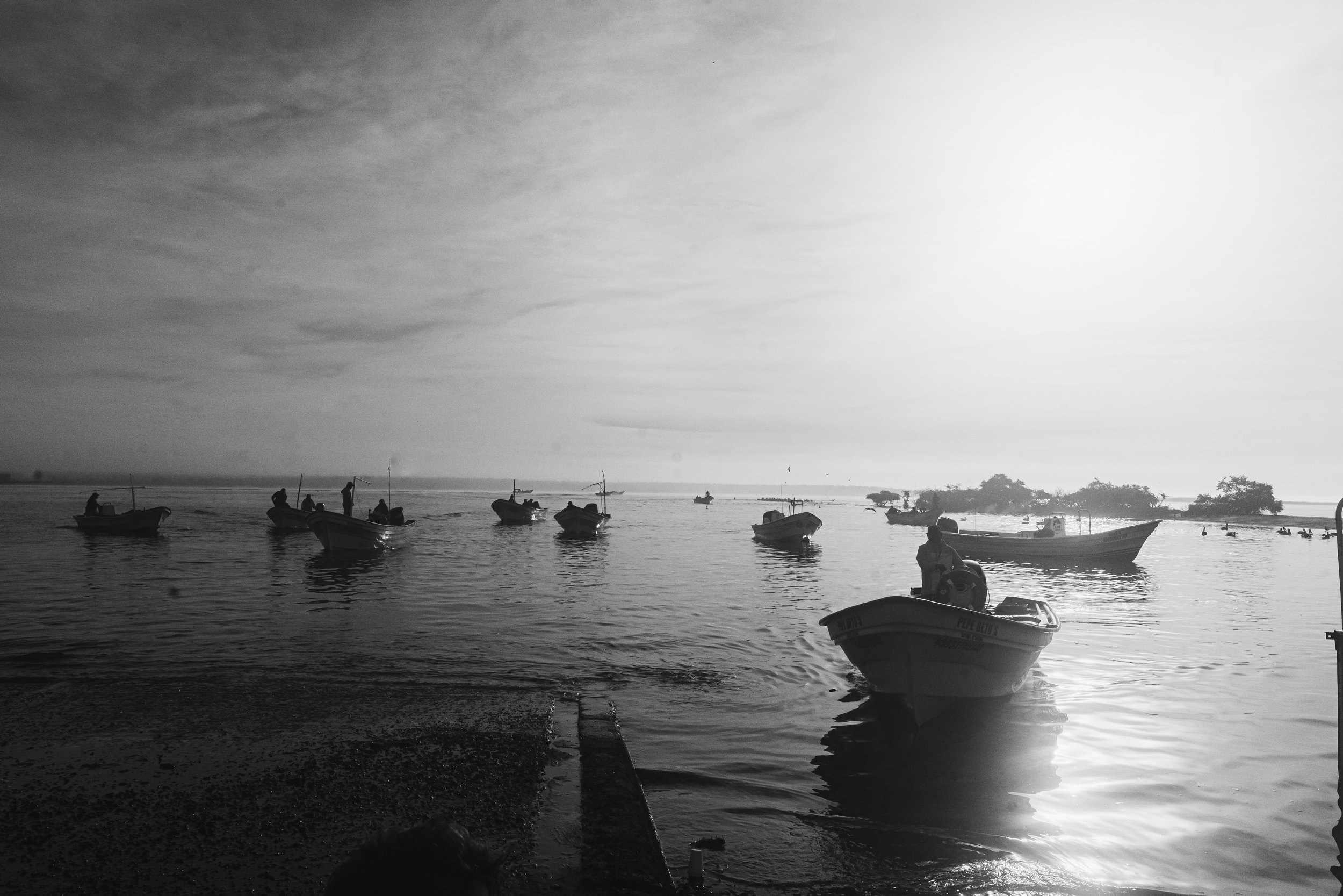 DSC02982.jpeg