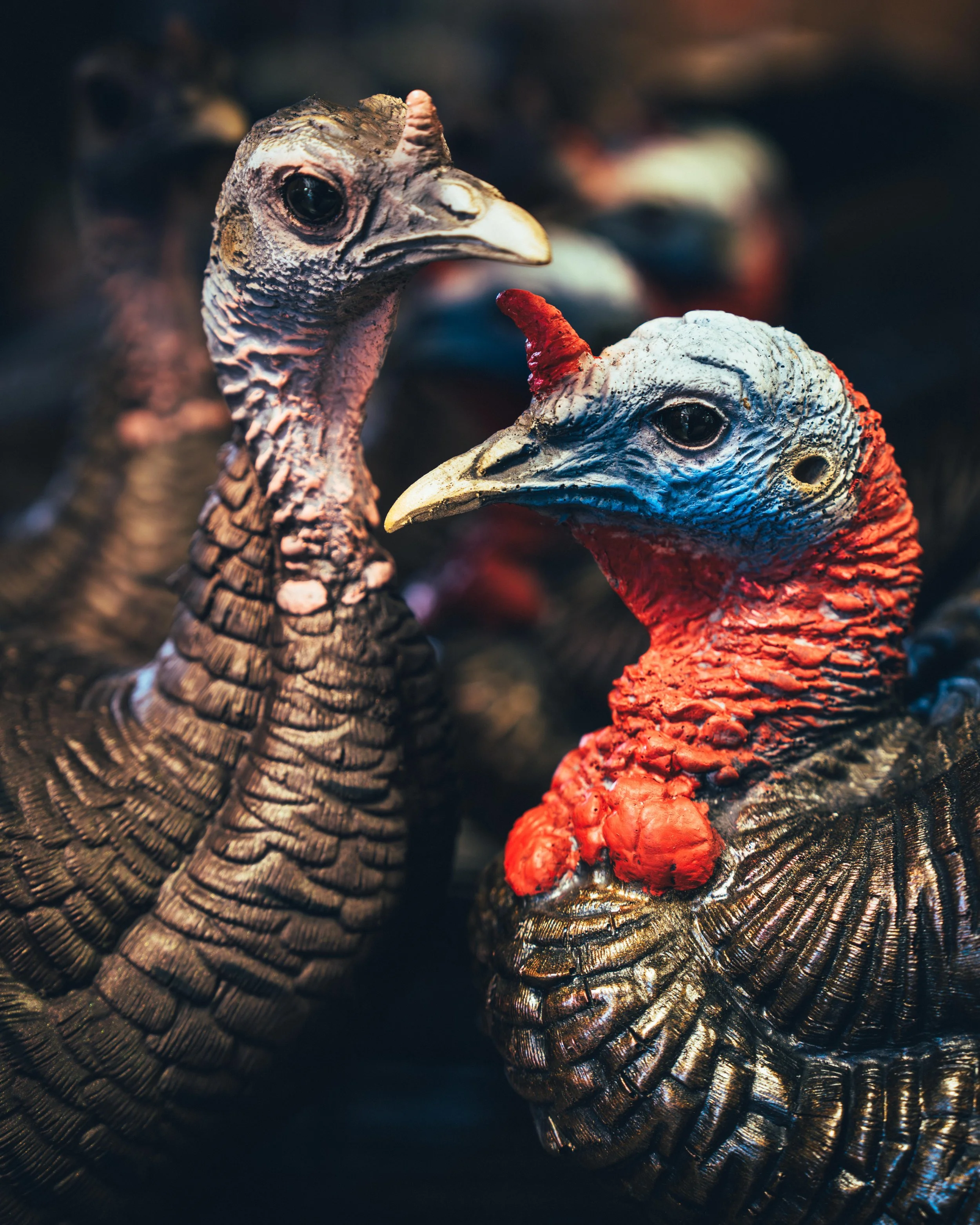 ZentoSlinger_TurkeyTour_OR_95.jpg