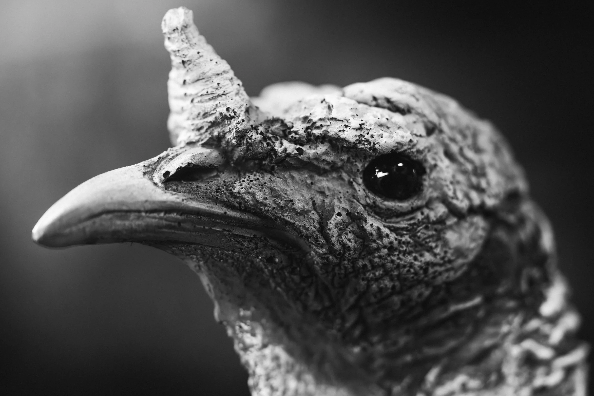 ZentoSlinger_TurkeyTour_OR_101.jpg