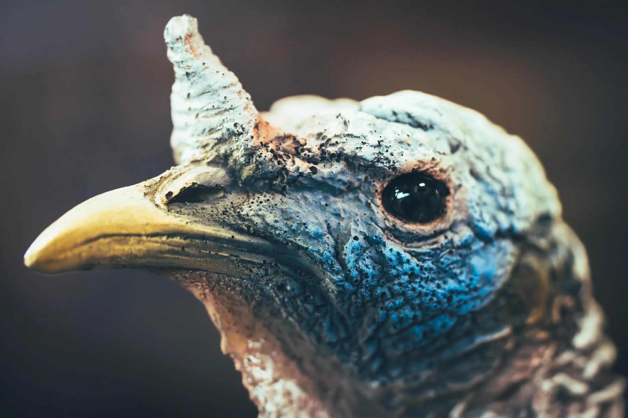 ZentoSlinger_TurkeyTour_OR_103.jpg
