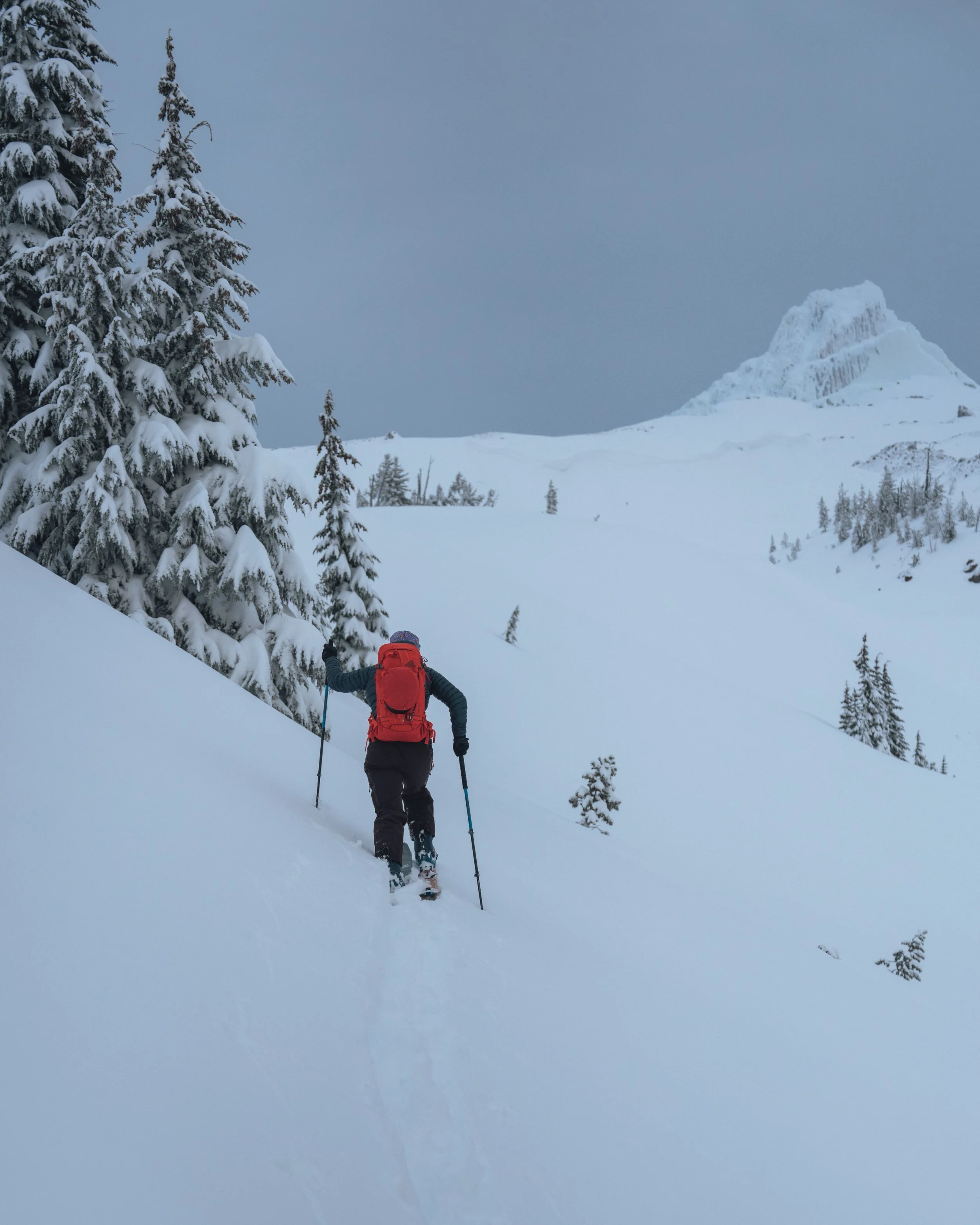 ZentoSlinger_GregTarghee_3.jpeg