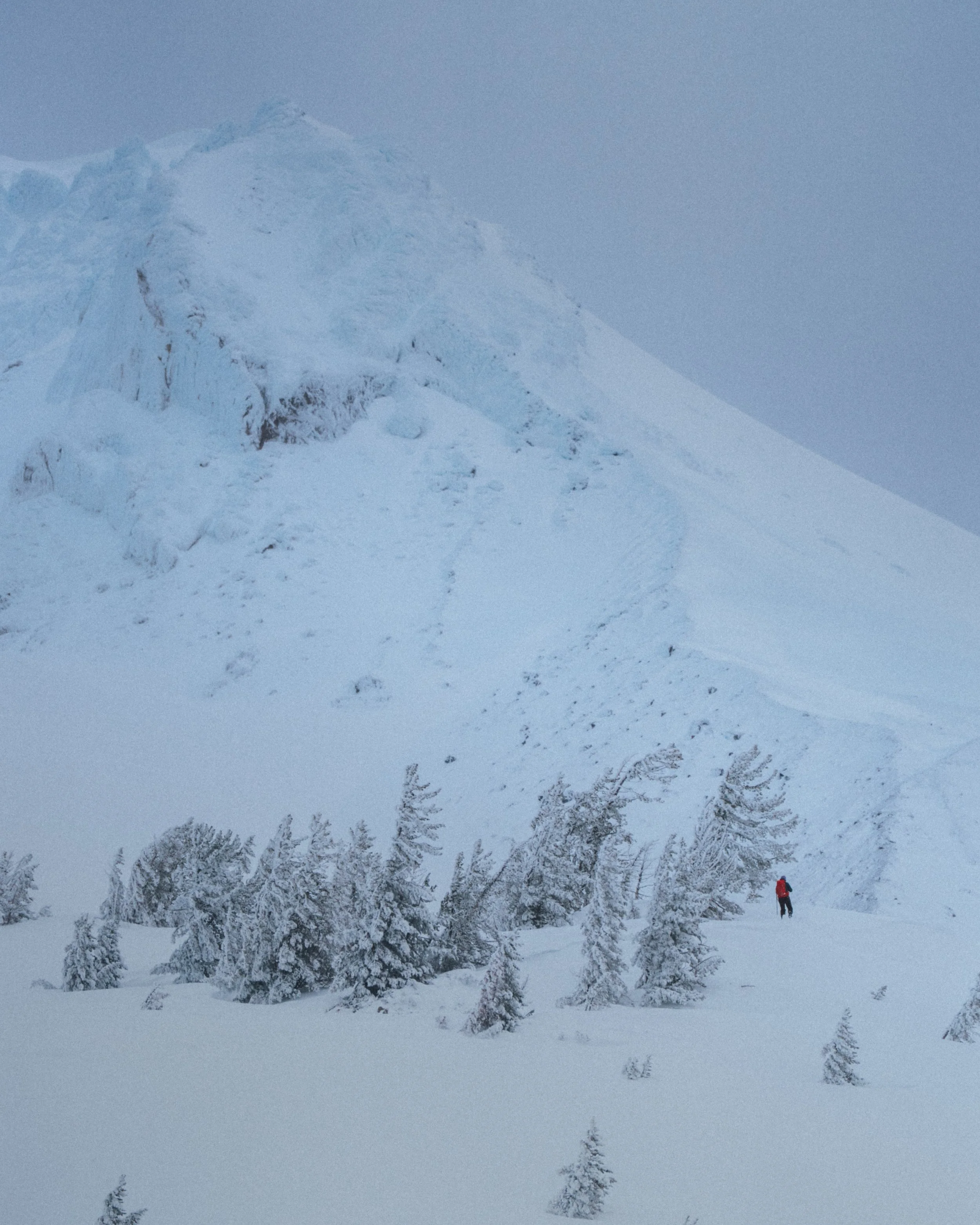 ZentoSlinger_GregTarghee_4.jpeg