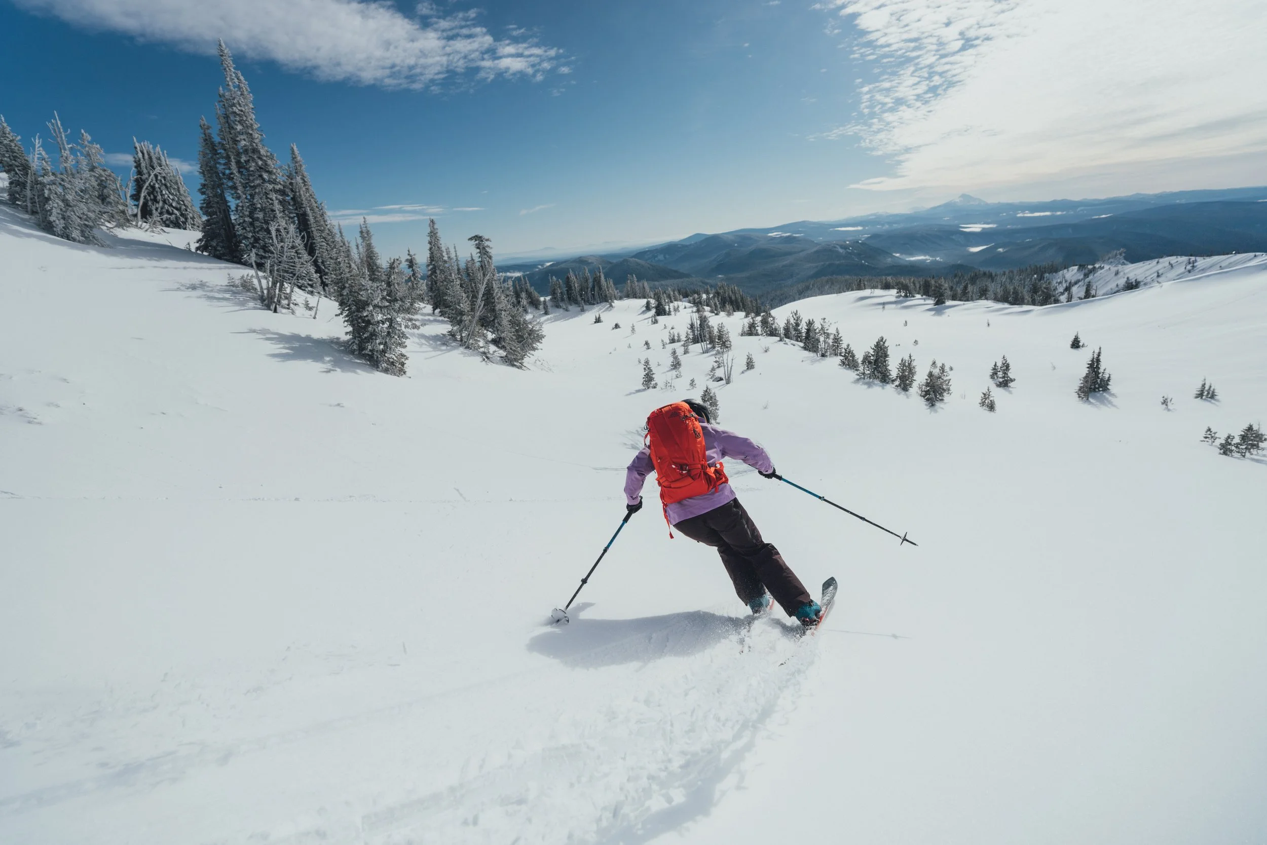 ZentoSlinger_GregTarghee_8.jpeg