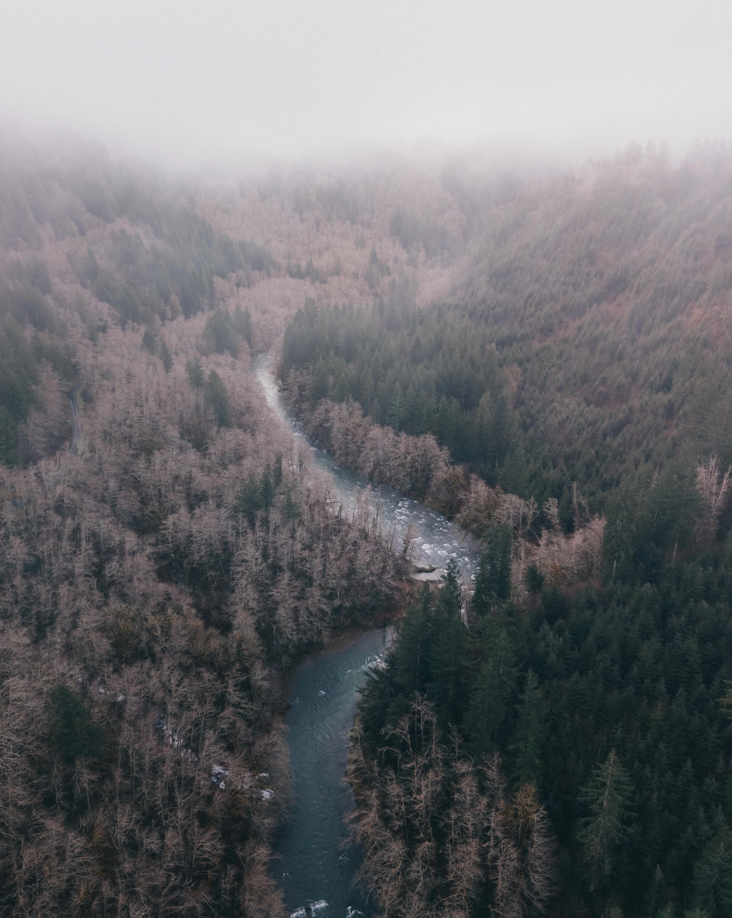 ZentoSlinger_SuperPacific_Coastal_3.jpg