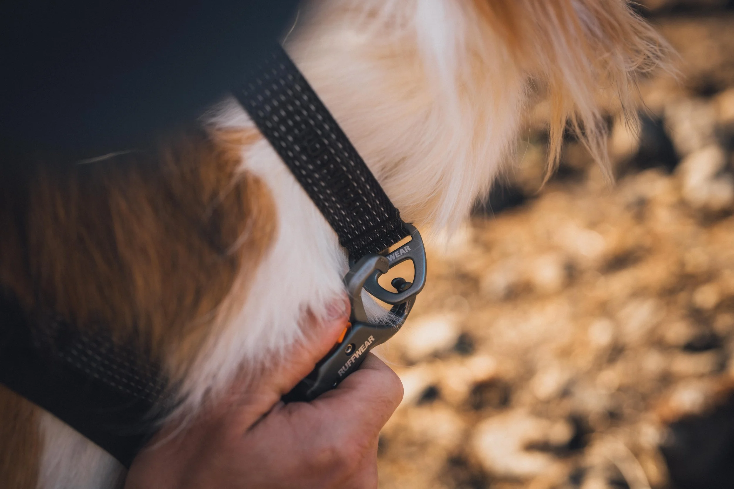 Ruffwear_RidgelineSS26_ZentoSlinger_9.jpeg