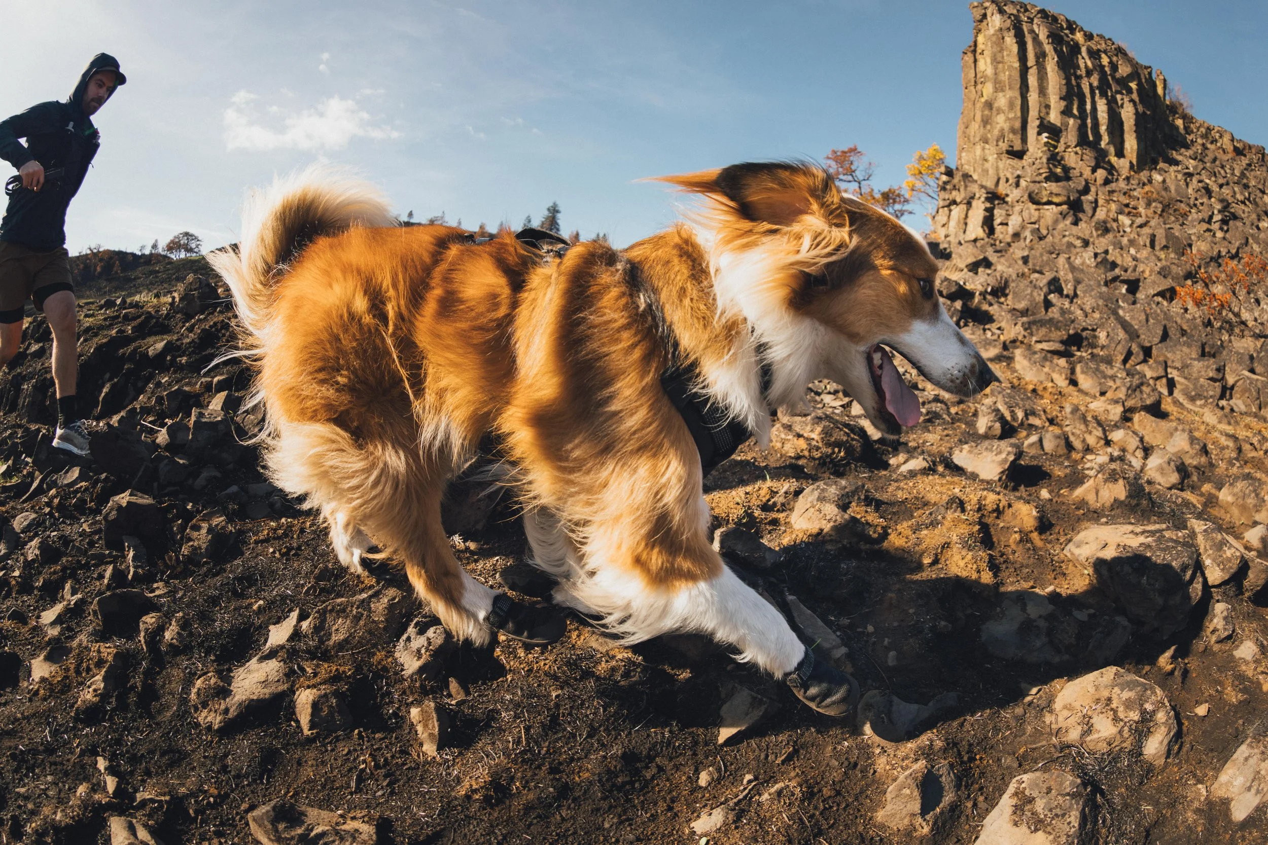 Ruffwear_RidgelineSS26_ZentoSlinger_20.jpeg