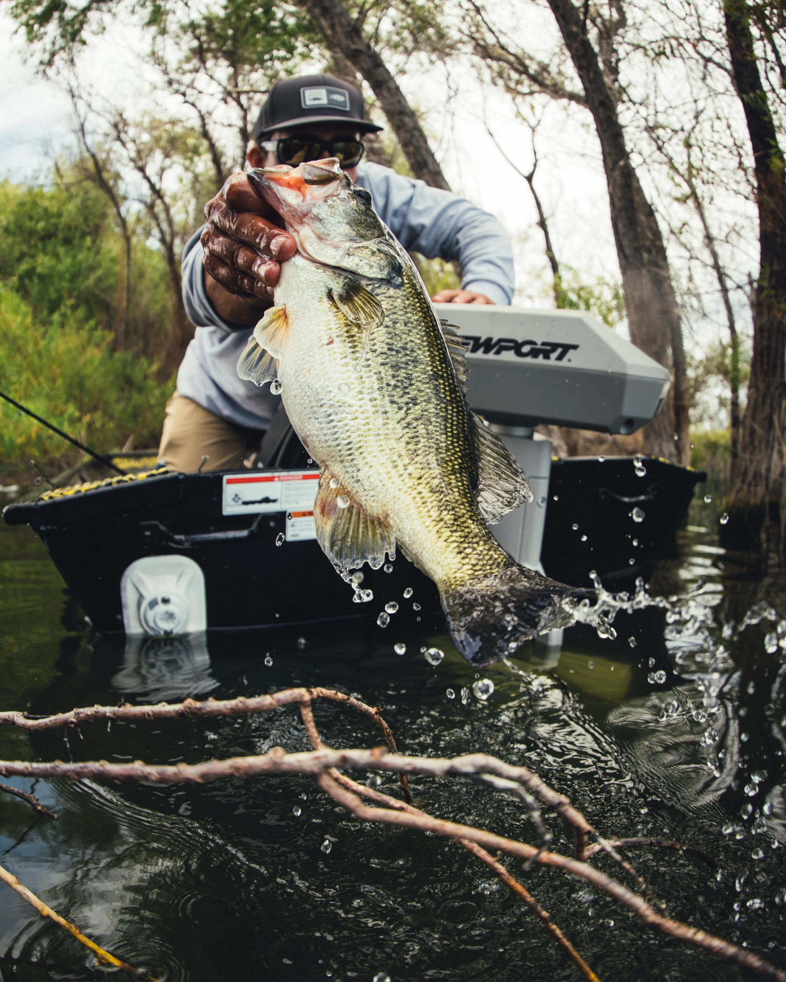 NewportNT600_Bass_ZentoSlinger_56.jpg