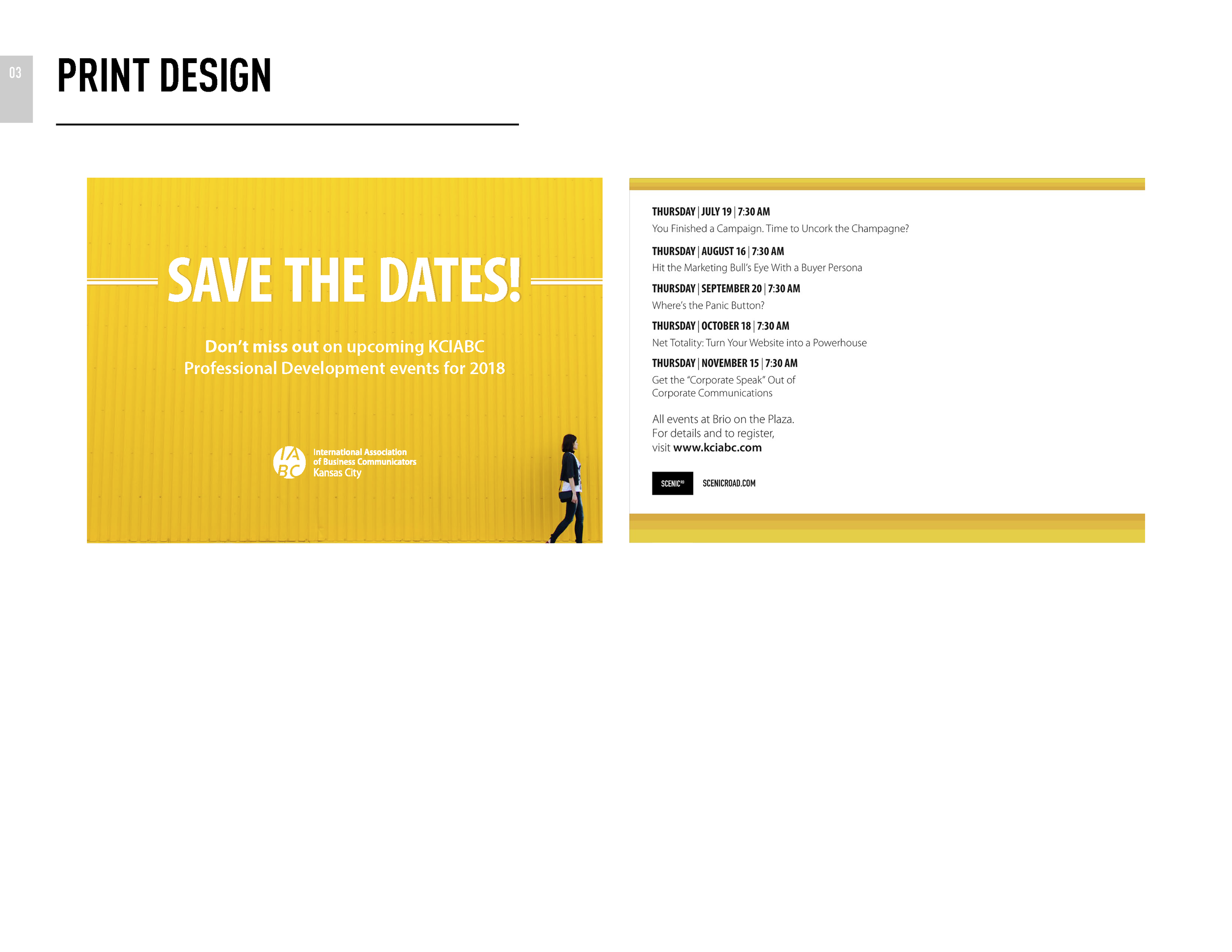 PROFESSIONAL PORTFOLIO_Page_03.png