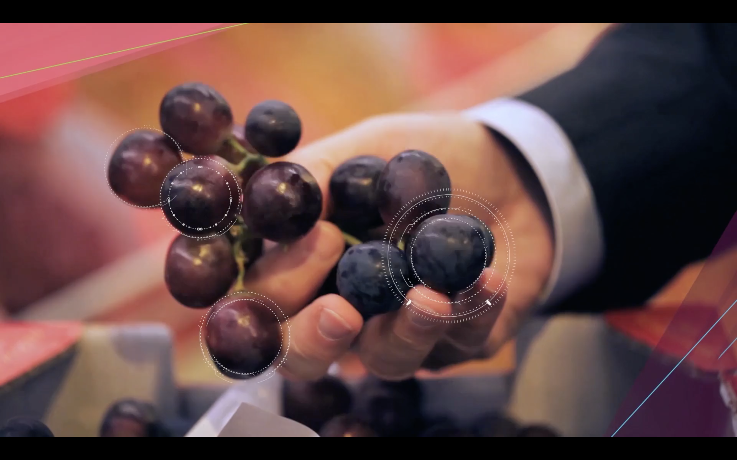 Screen Shot 2020-11-23 at 4.54.54 PM.png