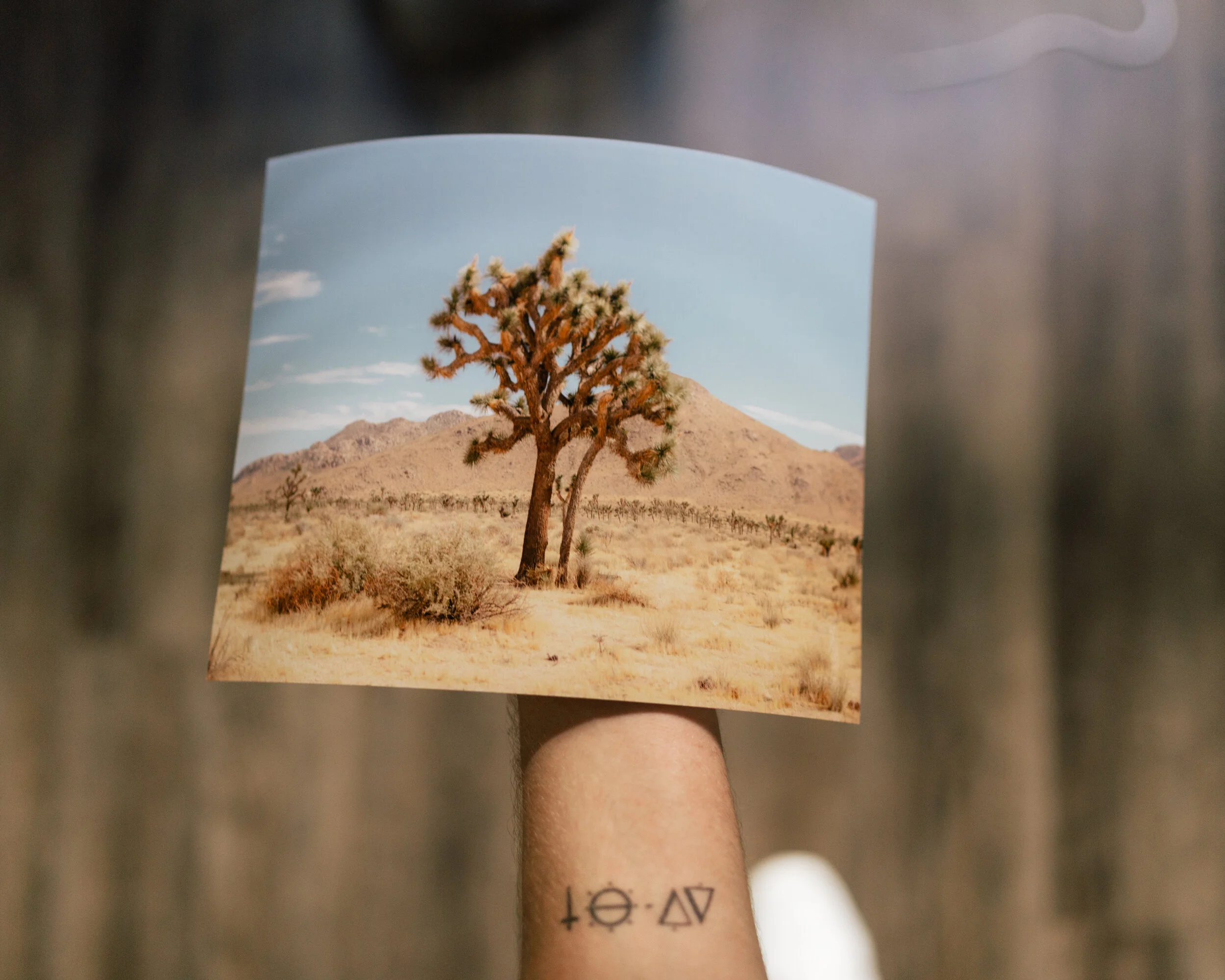 print product-7.jpg