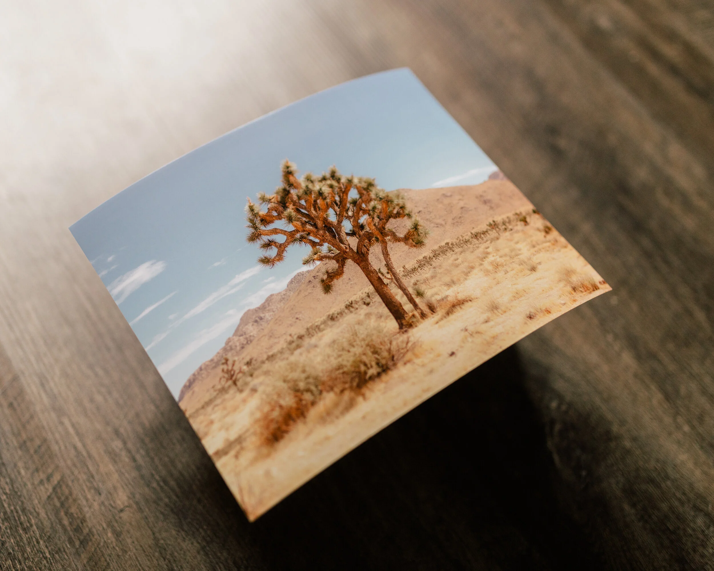 print product-4.jpg