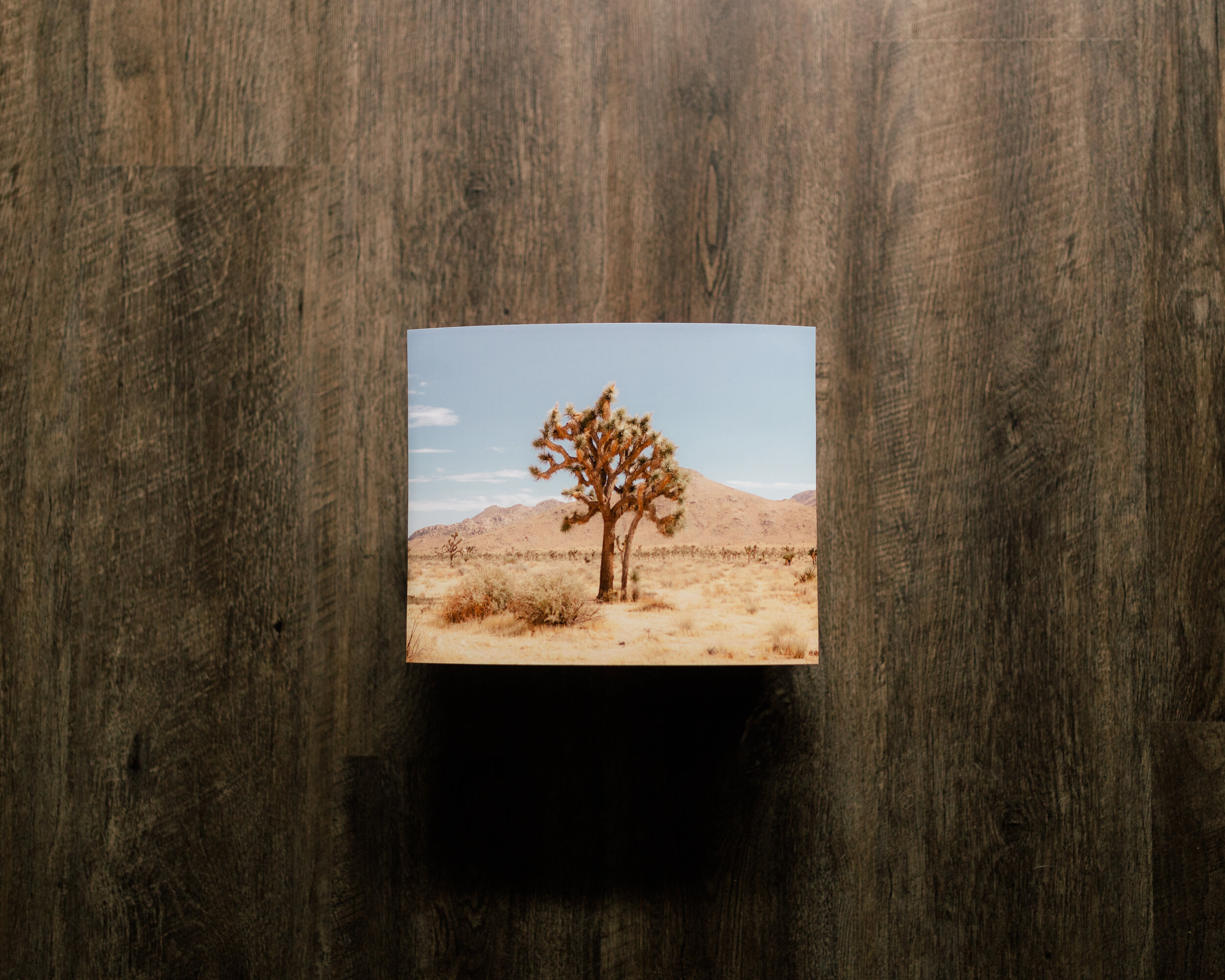print product-6.jpg