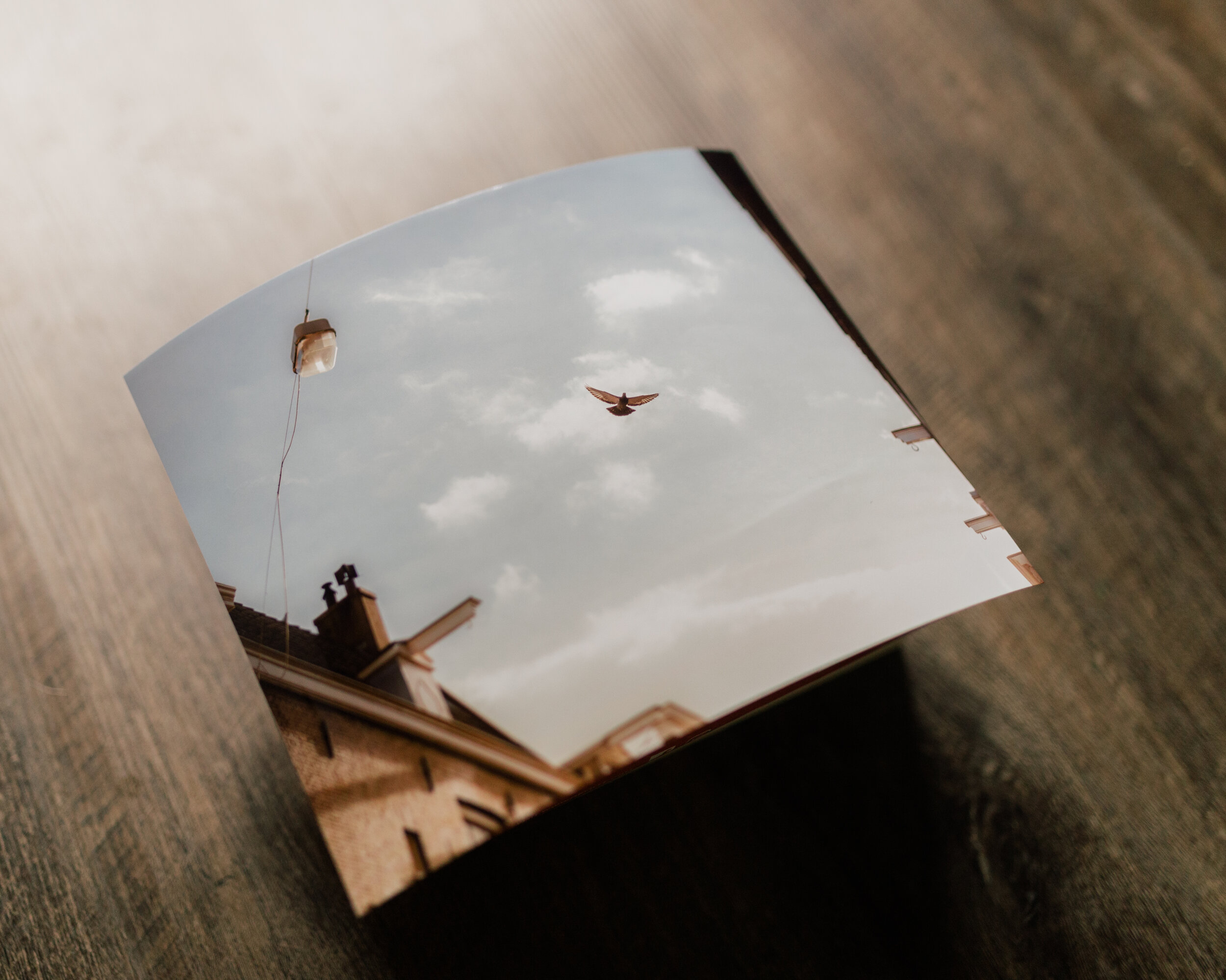 print product-15.jpg