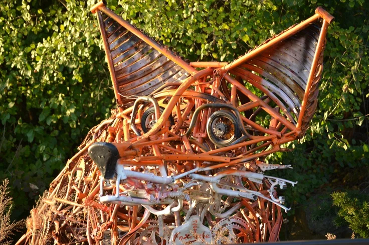 Saint Charles Fox Cylce Close-up.jpg
