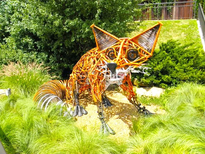 Saint-Charles-Fox-Cylce.jpg