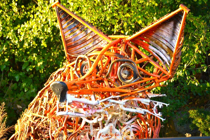 Saint-Charles-Fox-Cylce-Close-up.jpg