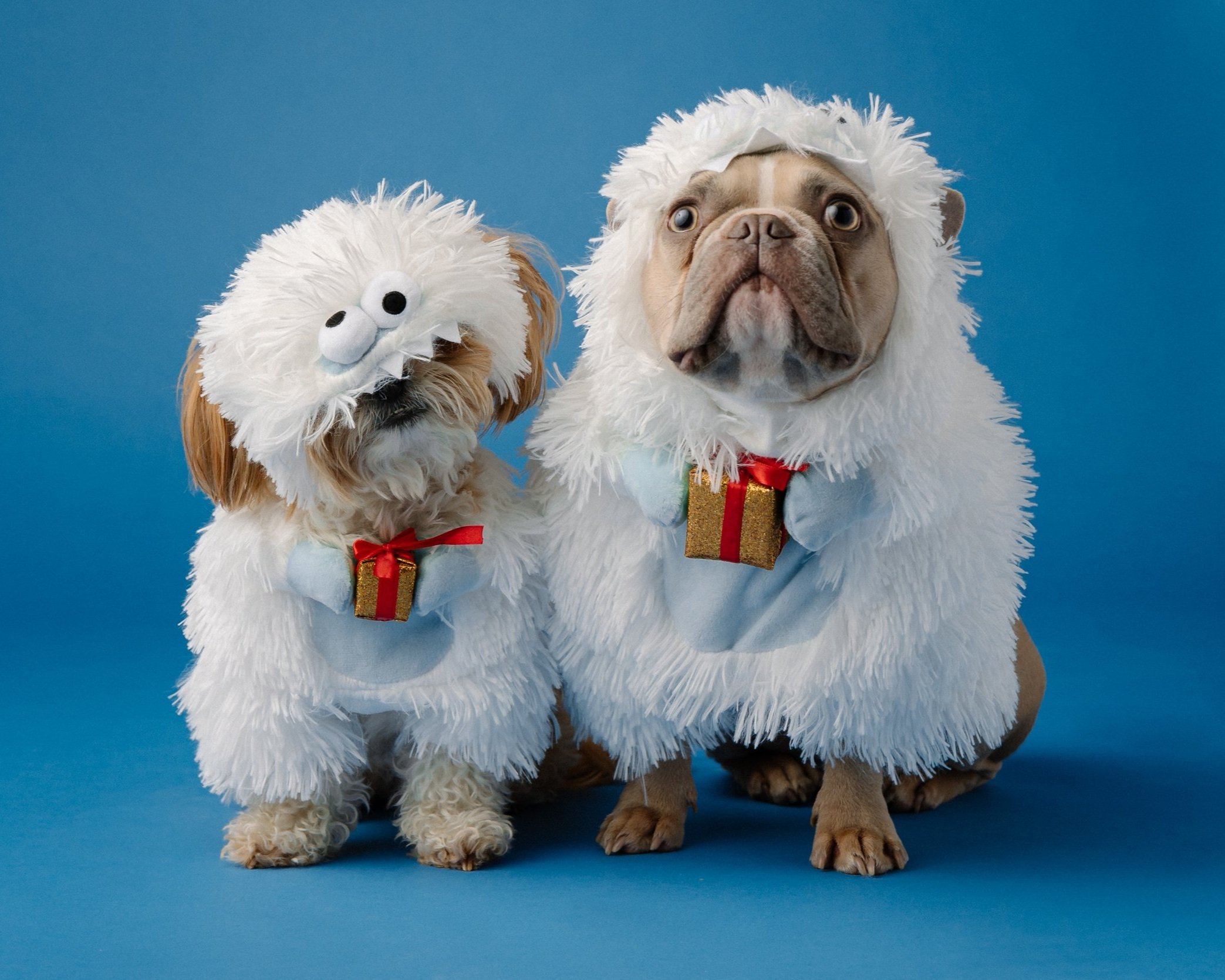 Journey of the Redeemed: Reveal Your True Identity