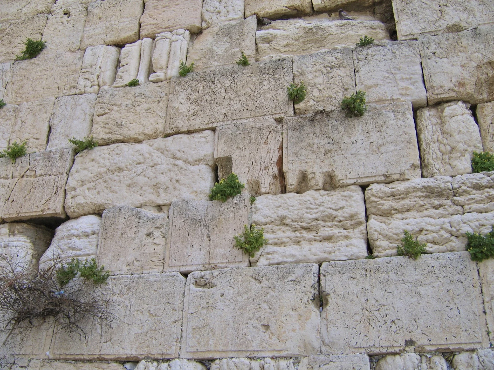 Journey of the Redeemed: It Costs