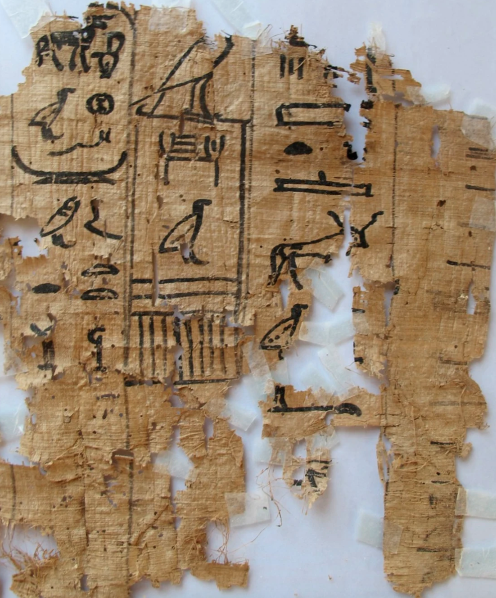 Exodus 2: outsider + provider