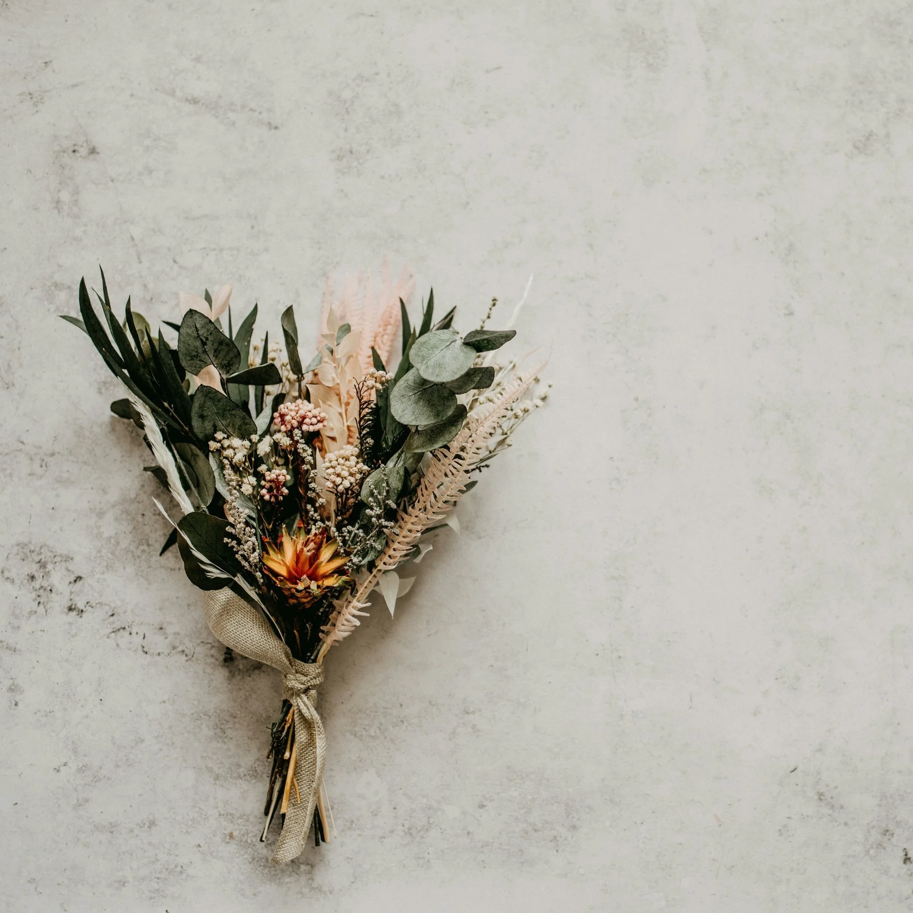 Jesus: There &amp; Back Again—Hebrews final week