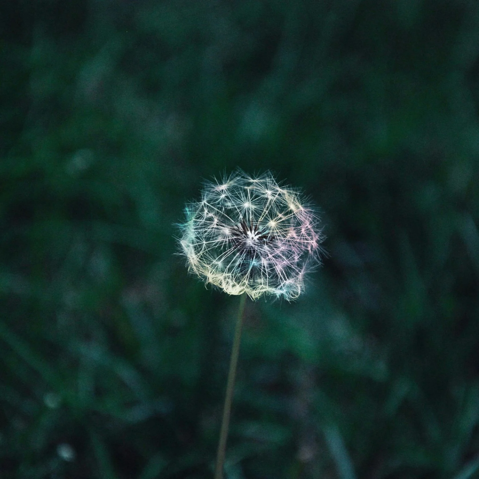 Jesus: There &amp; Back Again—Hebrews week 13