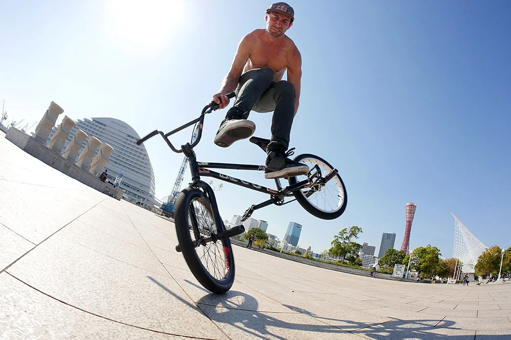 amn-bmx-flatarkterry2.jpg