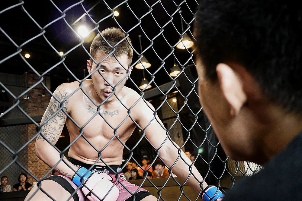 amn-mma-kormma.jpg