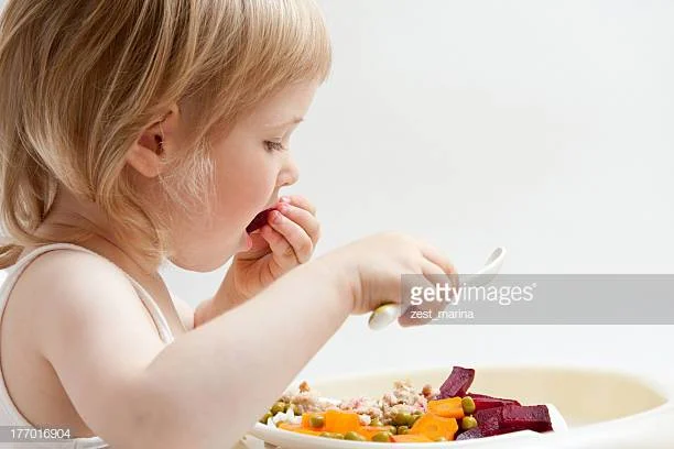 Toddler meals