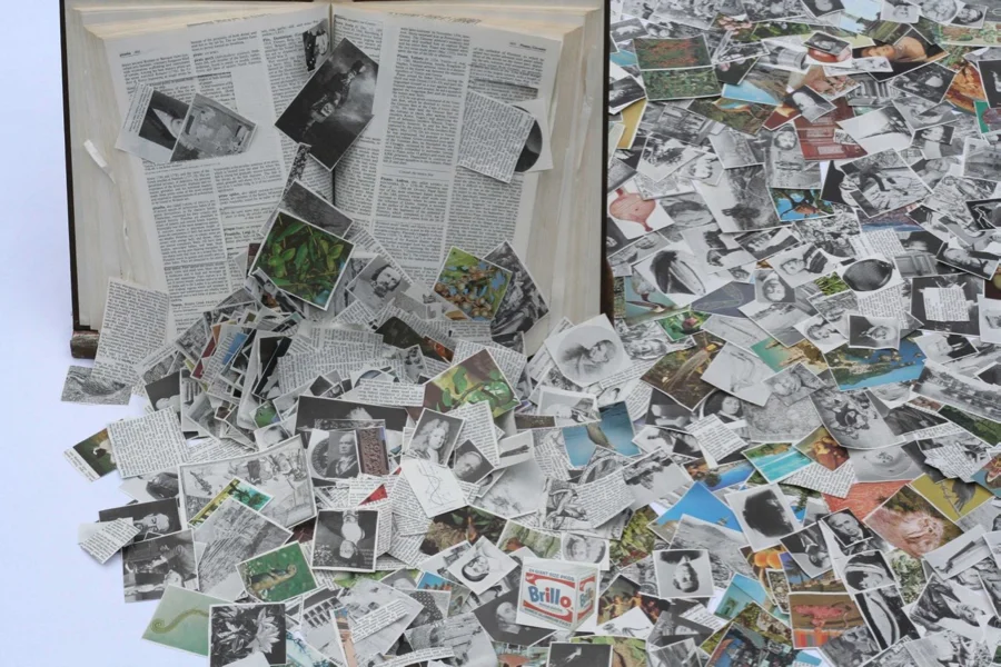 Britannica Intervention