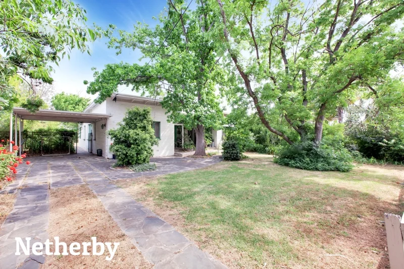 13 Kitchener Street, Netherby