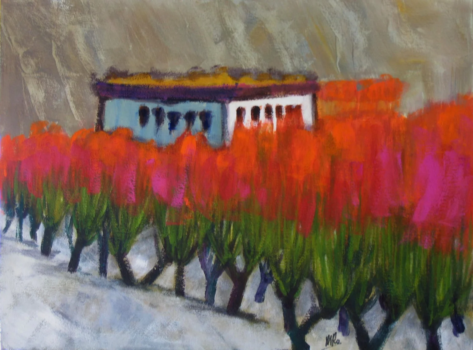 LANDSCAPE Ladakh in winter.JPG