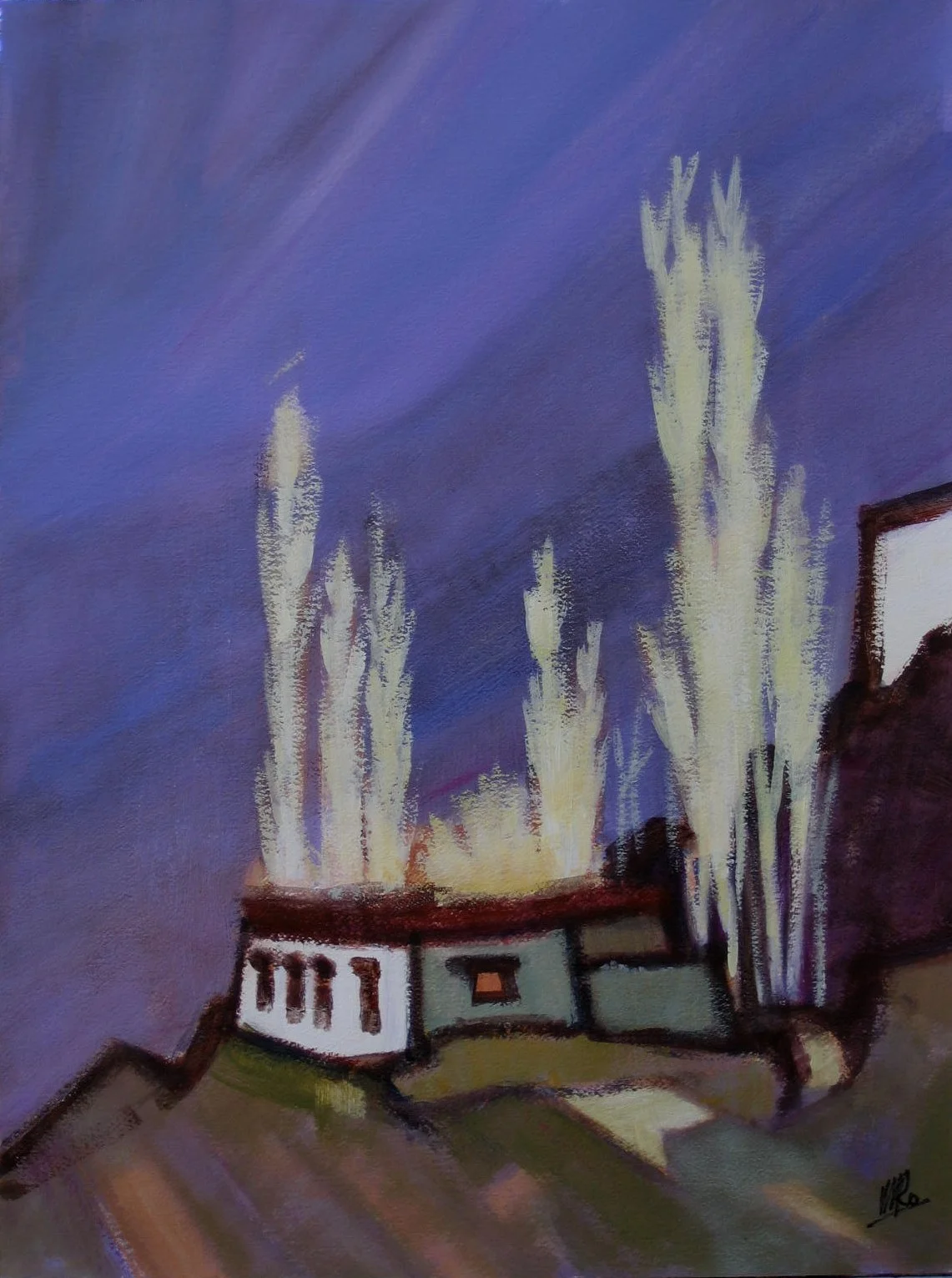 LANDSCAPE Ladakh.JPG